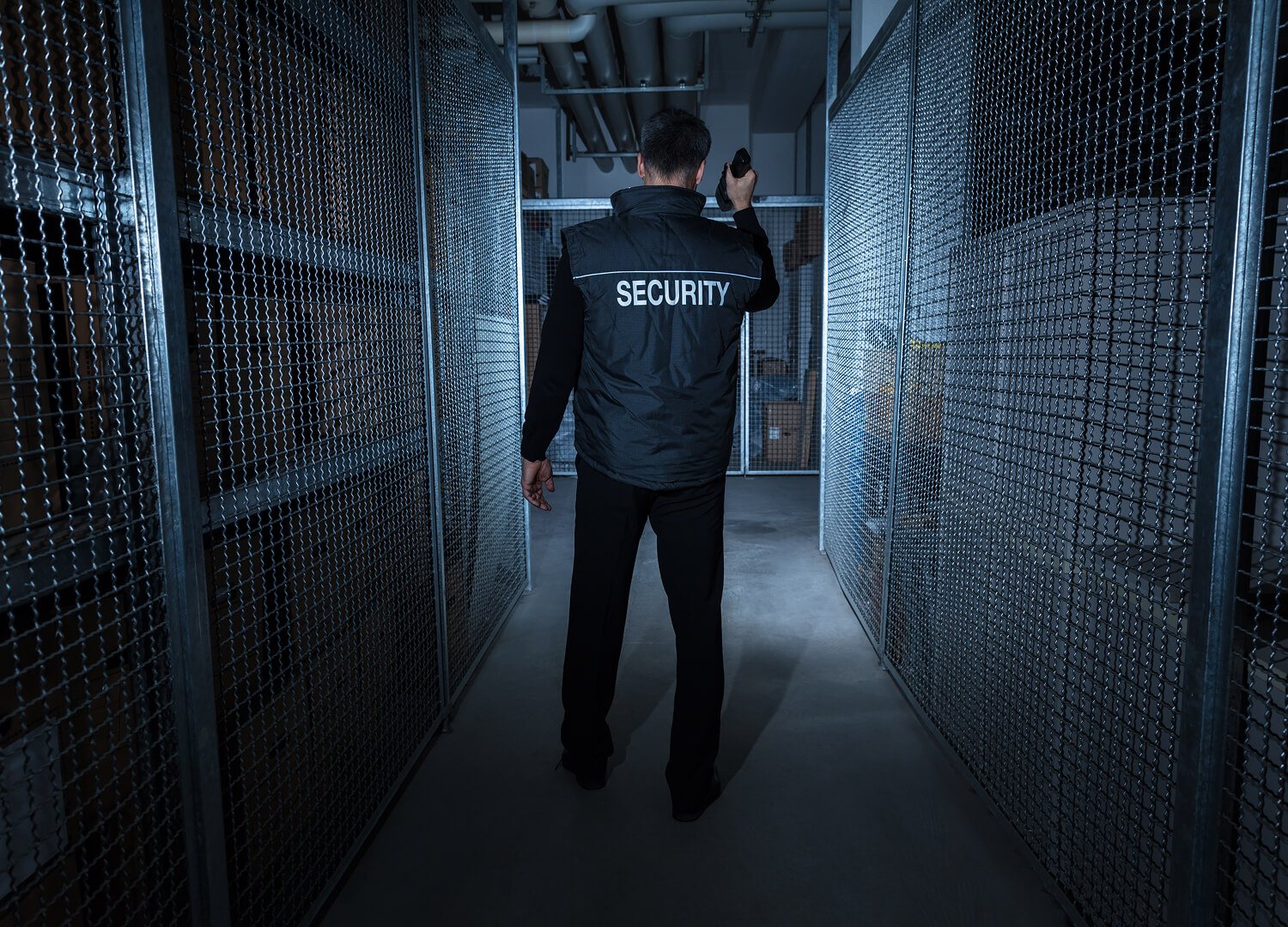 Security-systems-and-services